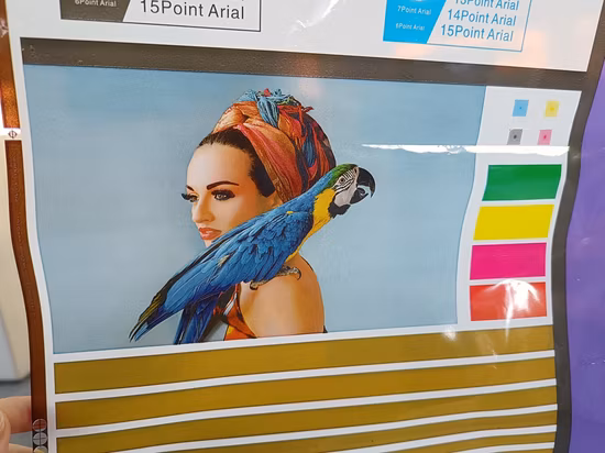 Máquina de impressão flexográfica 2 cores