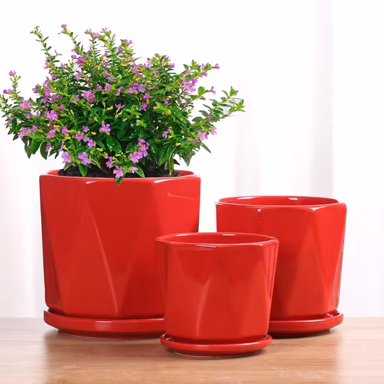 Rolo Anilox cerâmico de alta velocidade de quatro cores PE/PP/OPP/Não